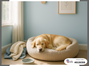 Soft Blue (Water Element) Benefits: Reduces anxiety, ideal for nervous pets. Best Use: Sleeping areas, recovery spaces.
